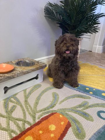 2847 Ashley Drive W G, West Palm Beach, FL 33415