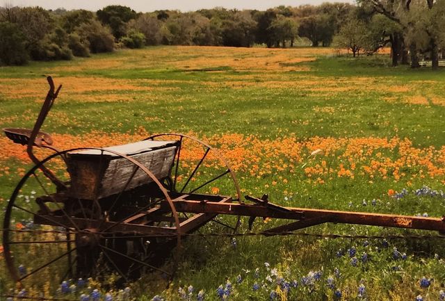 1905 County Rd 913, Joshua, TX 76058