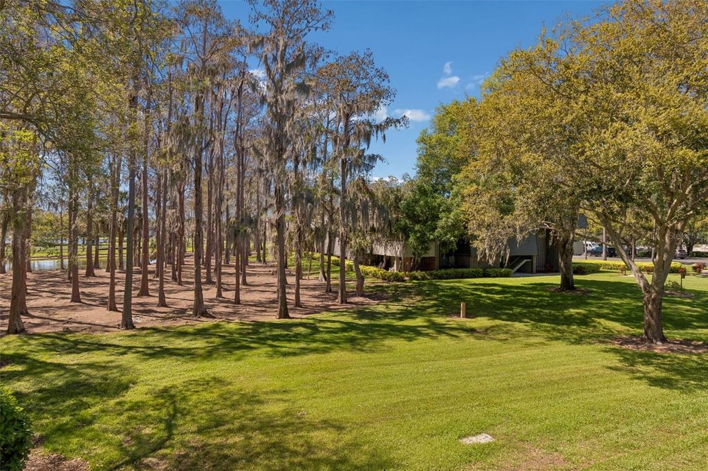 Image 32 of property listing at 36750 US HIGHWAY 19 N 06207, Palm Harbor, FL 34684