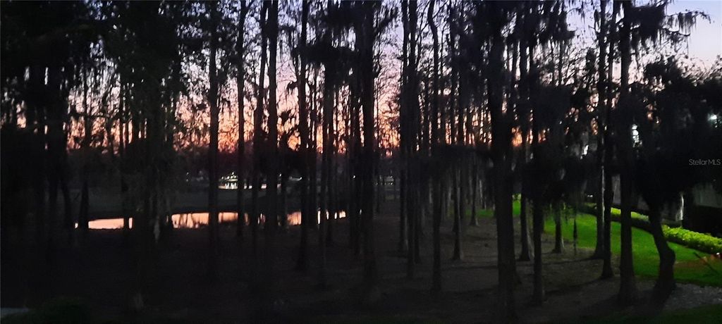 Image 33 of property listing at 36750 US HIGHWAY 19 N 06207, Palm Harbor, FL 34684