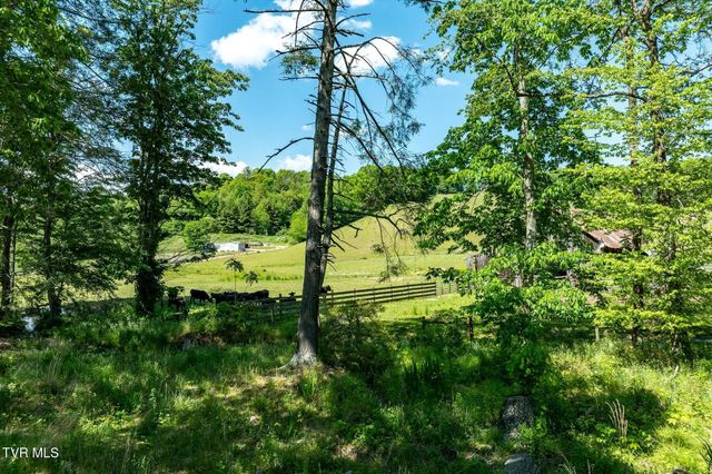 517 Mill Creek Road, Mountain City, TN 37683