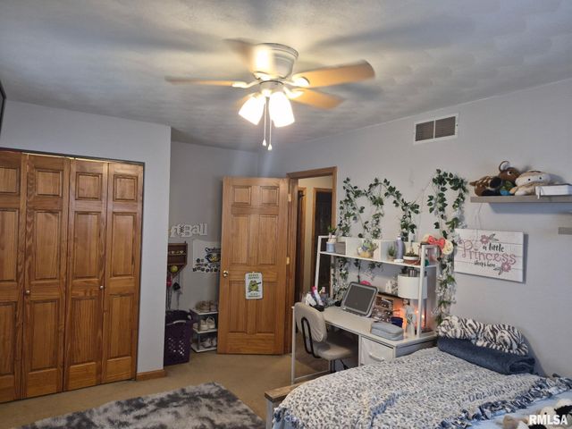 309 E Conrey Street, Williamsville, IL 62693