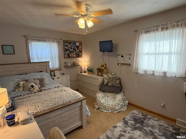 309 E Conrey Street, Williamsville, IL 62693
