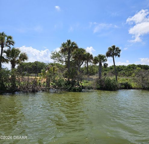183 Jones Fish Camp Road, Edgewater, FL 32141
