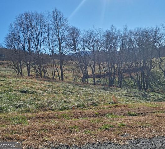 0 Big Valley Drive, Morganton, GA 30560