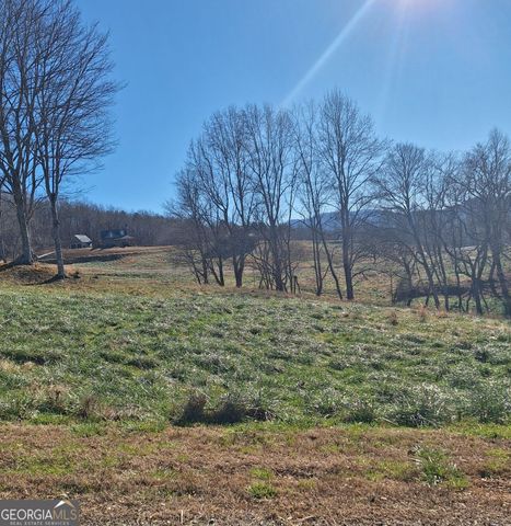0 Big Valley Drive, Morganton, GA 30560