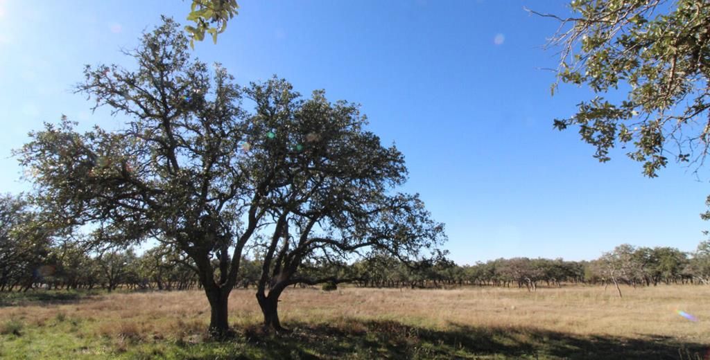 Image 1 of property listing at 1519 Mesquite Lane # 1, Christoval, TX 76935