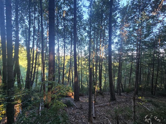 8750 Wilder Ridge Road, Ettersburg, CA 95542