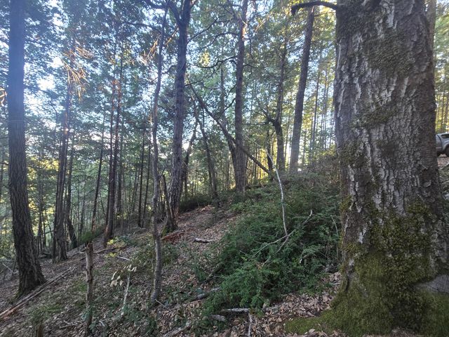 8750 Wilder Ridge Road, Ettersburg, CA 95542