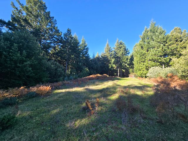 8750 Wilder Ridge Road, Ettersburg, CA 95542