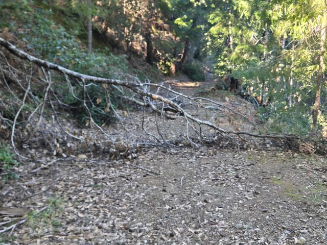 8750 Wilder Ridge Road, Ettersburg, CA 95542