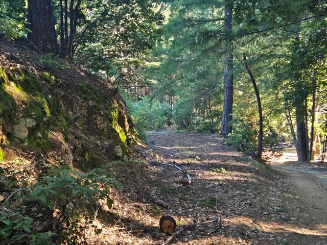 8750 Wilder Ridge Road, Ettersburg, CA 95542