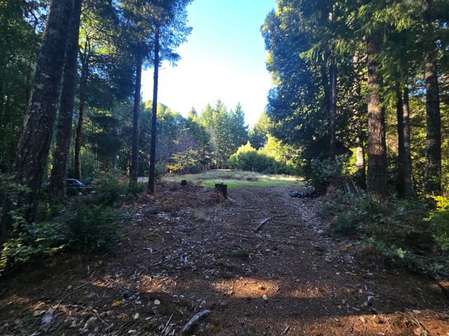 8750 Wilder Ridge Road, Ettersburg, CA 95542