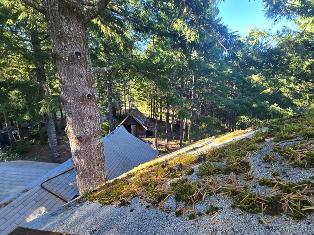 8750 Wilder Ridge Road, Ettersburg, CA 95542