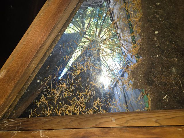 8750 Wilder Ridge Road, Ettersburg, CA 95542