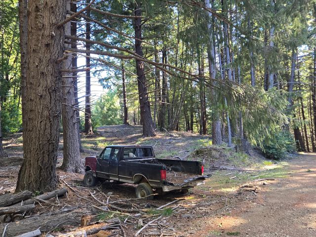 8750 Wilder Ridge Road, Ettersburg, CA 95542