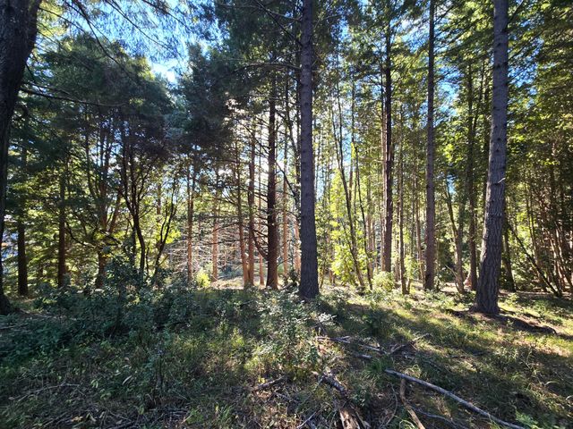 8750 Wilder Ridge Road, Ettersburg, CA 95542