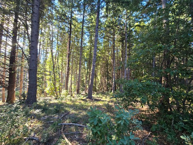 8750 Wilder Ridge Road, Ettersburg, CA 95542