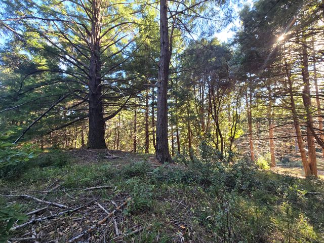 8750 Wilder Ridge Road, Ettersburg, CA 95542