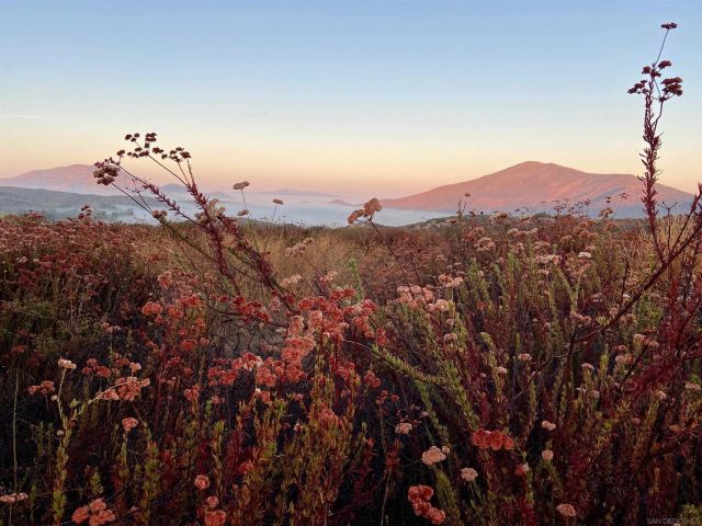 25675 Potrero Park Dr, Potrero, CA 91963