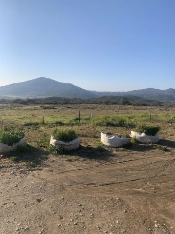 25675 Potrero Park Dr, Potrero, CA 91963