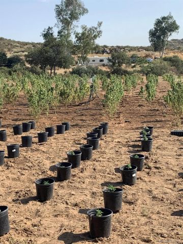 25675 Potrero Park Dr, Potrero, CA 91963