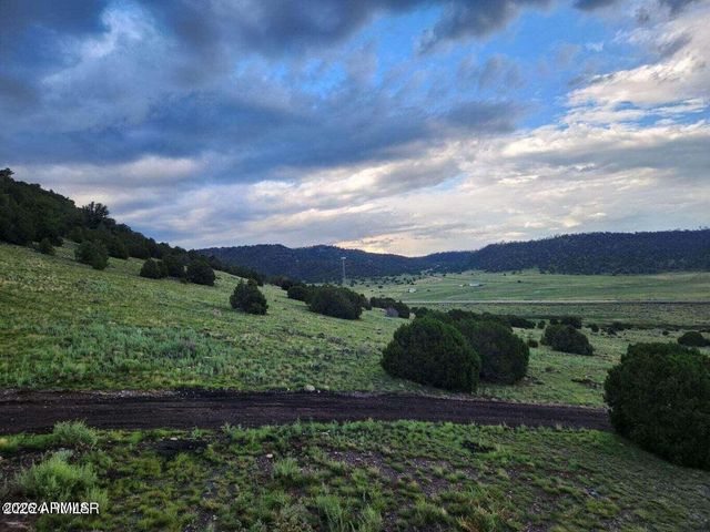 41198 US 180 --, Nutrioso, AZ 85932