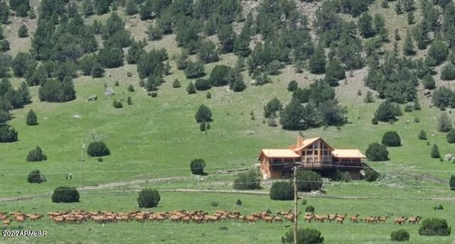 41198 US 180 --, Nutrioso, AZ 85932