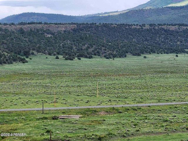 41198 US 180 --, Nutrioso, AZ 85932