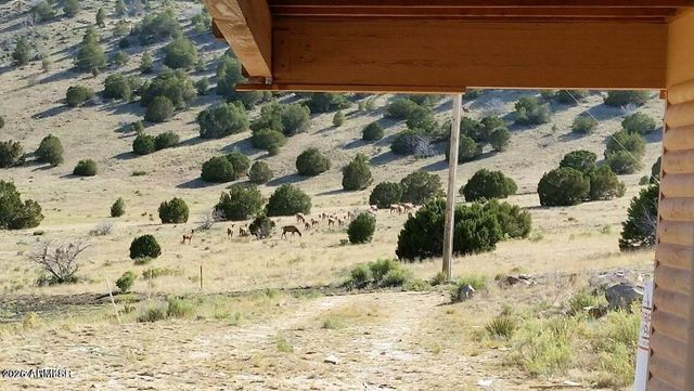 41198 US 180 --, Nutrioso, AZ 85932