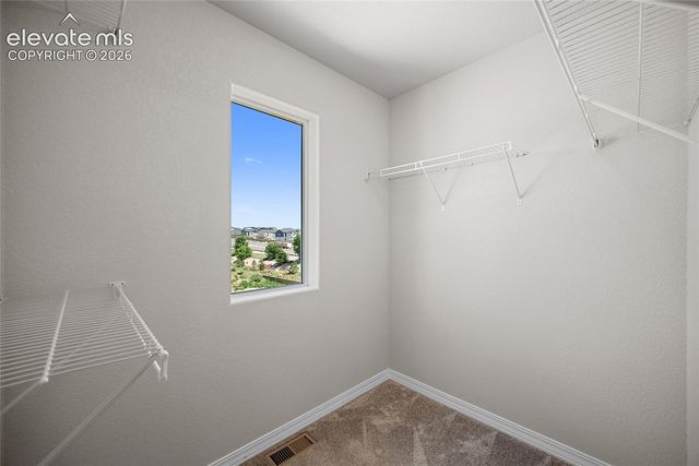 2959 Silver Hawk Avenue, Colorado Springs, CO 80916