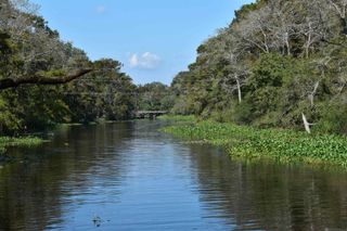 17206 La Hwy 431, Prairieville, LA 70769