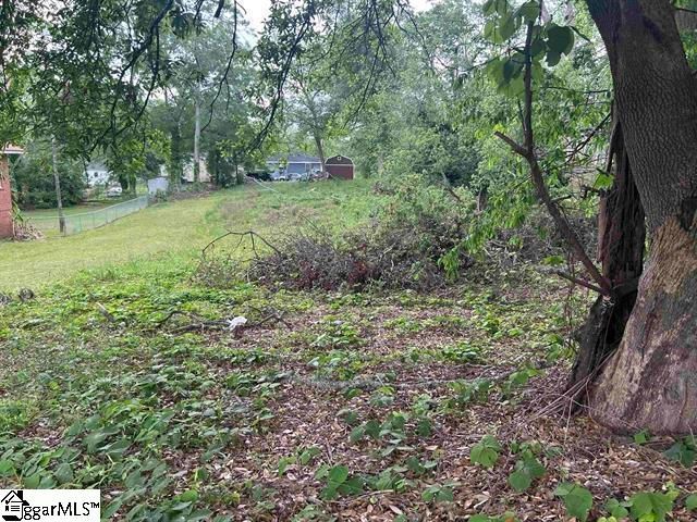 639 S Harper Street, Laurens, SC 29360