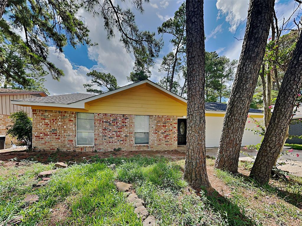 23034 Earlmist Drive, Spring, TX 77373