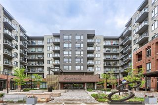 20 Wilcox Street 416, Castle Rock, CO 80104