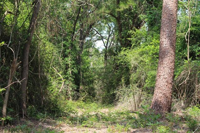 Tract 32 County Road 2170, Grapeland, TX 75844