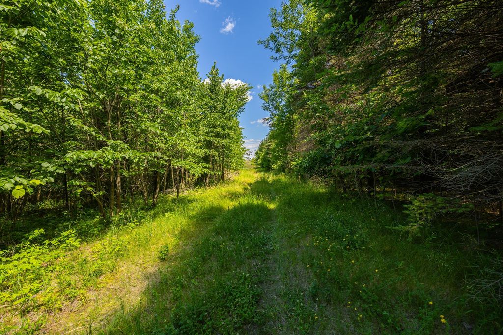 TBD Base Line Road, Dundas, MN 55019 — photo 2