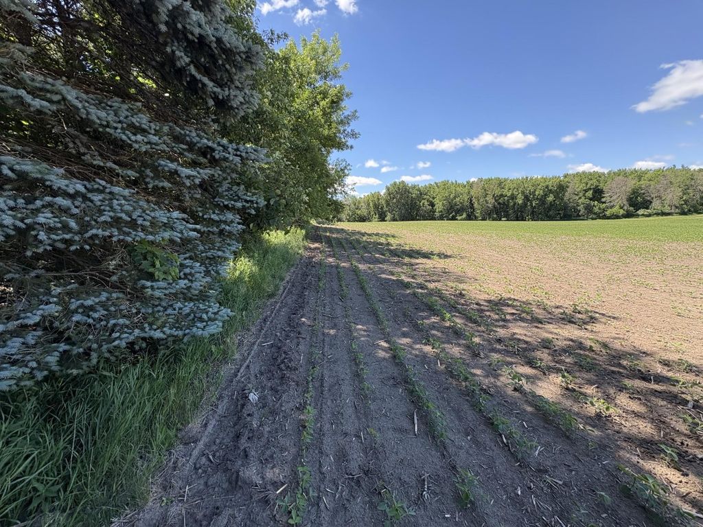 TBD Base Line Road, Dundas, MN 55019 — photo 4