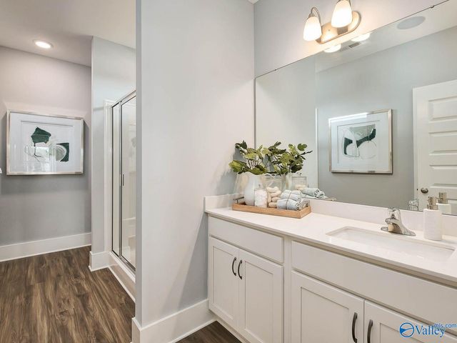 122 Cotita Drive, Toney, AL 35773