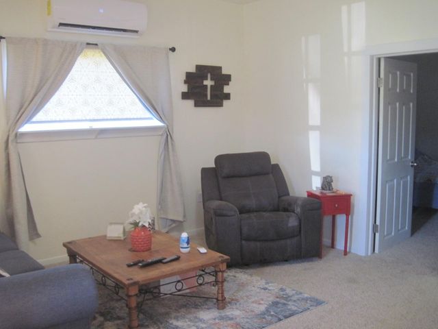 410 W Centre Street, Brazoria, TX 77422