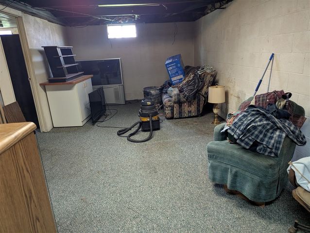 13421 Woerner Road, Manitou Beach, MI 49253