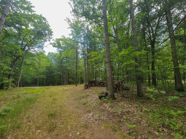 4537 Pine Run Road, Farwell, MI 48622