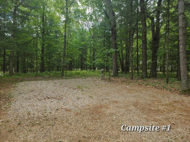 4537 Pine Run Road, Farwell, MI 48622