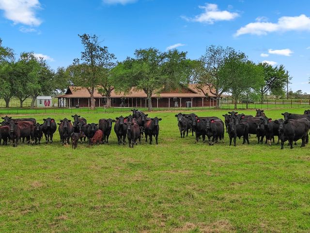 16120 Brown Road, Waller, TX 77484