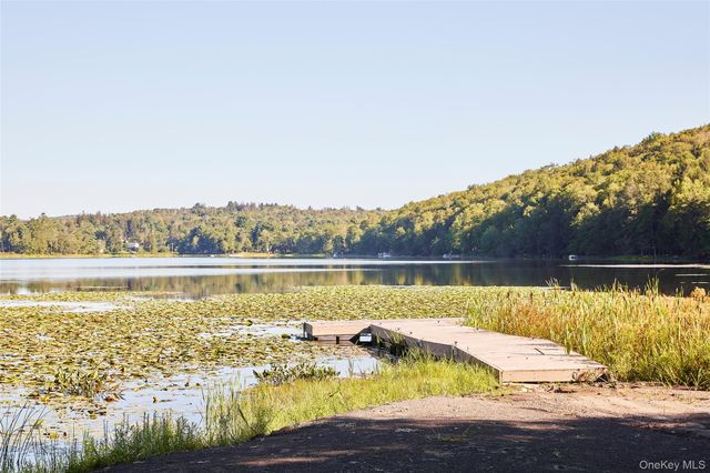 53 Land and Lakes Trail, Kenoza Lake, NY 12750