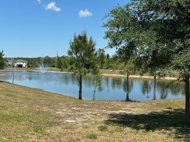 17249 GOLDCREST LOOP, Clermont, FL 34714