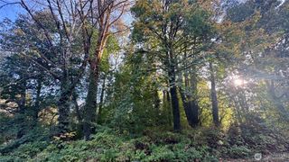 0 Lt 14&15 Cape Horn Drive, Concrete, WA 98237