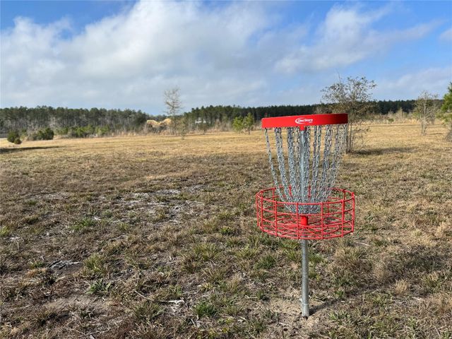 15364 Forest Grove Drive, Willis, TX 77378