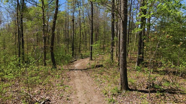 1043 Murphy Hollow Road, Vanleer, TN 37181