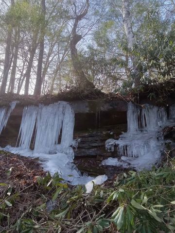 262 Hiwassee Rd, Crossville, TN 38572